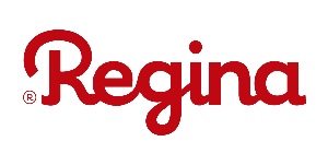 logo da regina festas